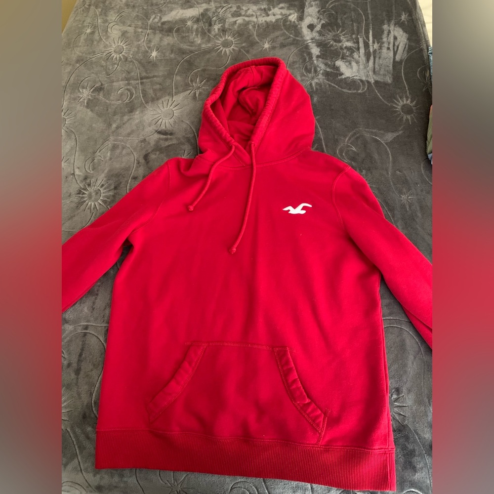 Red Hollister Logo Hoodie